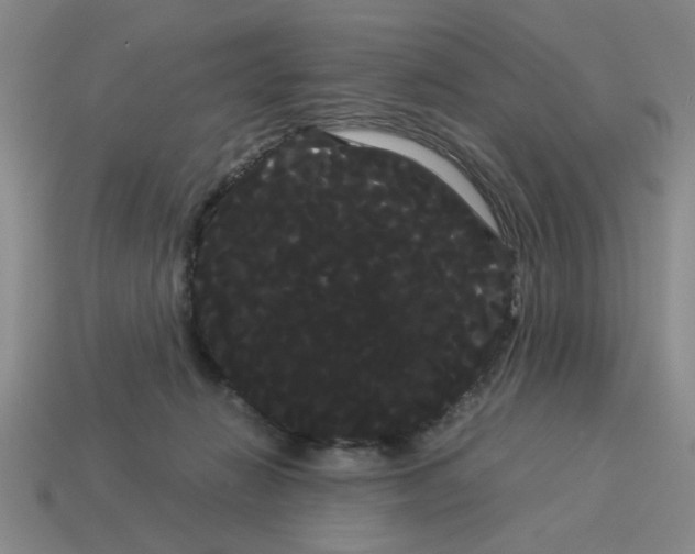 X0000114190270200911061409