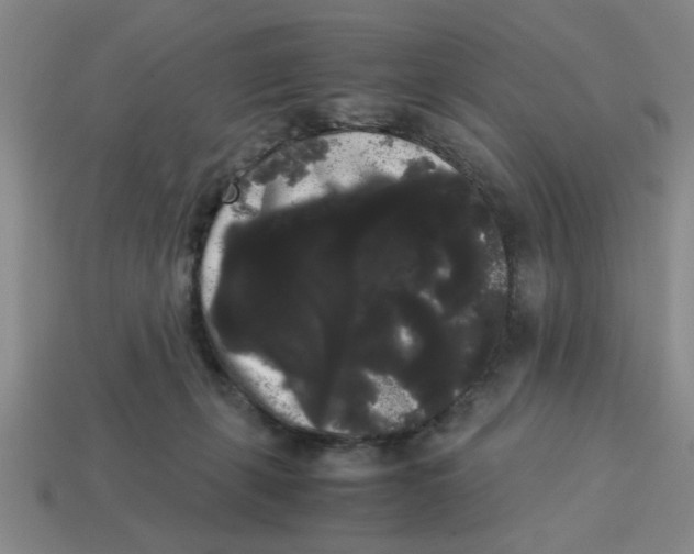 X0000114190271200911061409