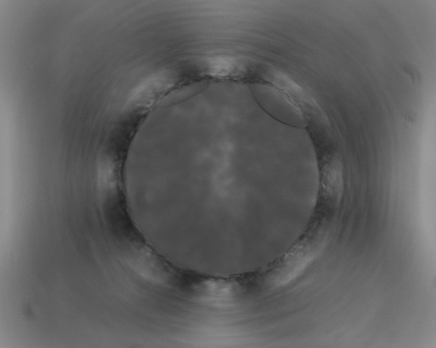 X0000114190272200911061409