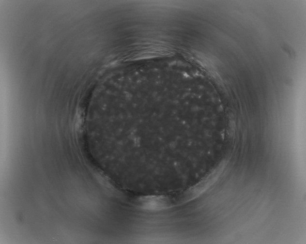 X0000114190273200911061409