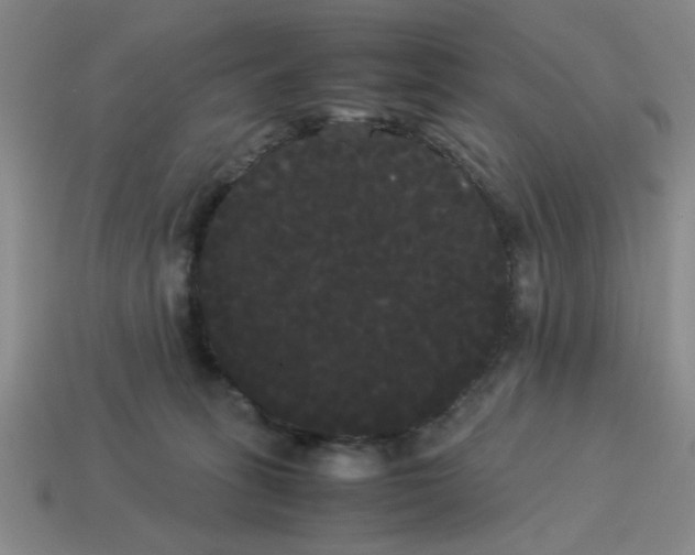 X0000114190275200911061409