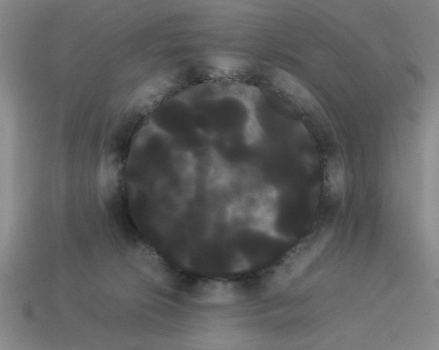 X0000114190276200911061409