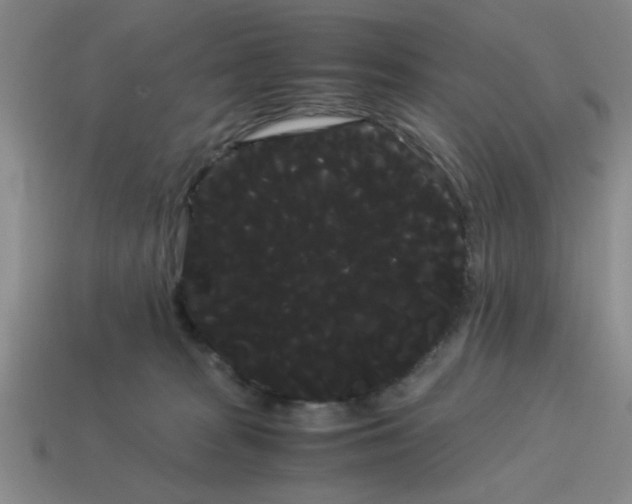 X0000114190277200911061409