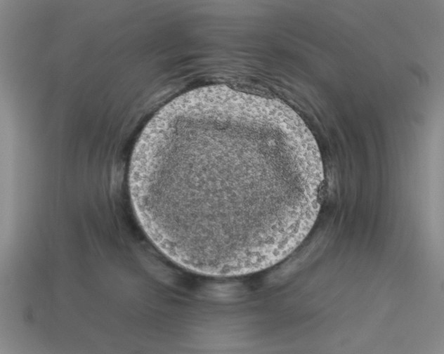 X0000114190278200911061409