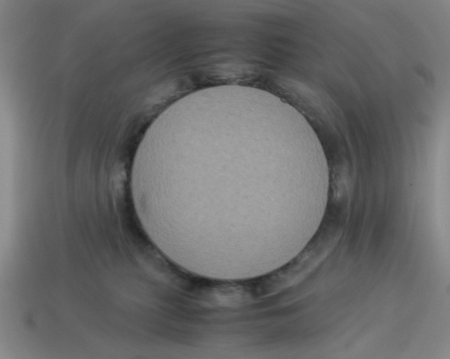 X0000114190279200911061410