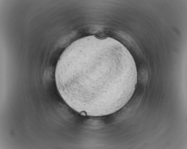 X0000114190280200911061410