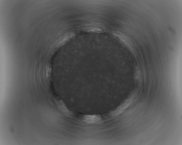 X0000114190281200911061410