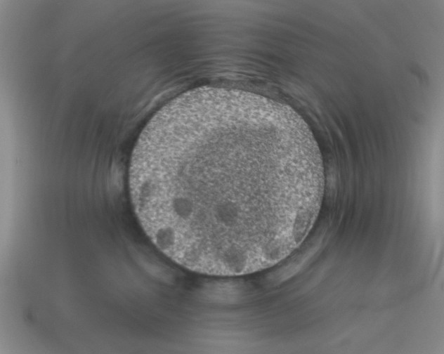 X0000114190282200911061410