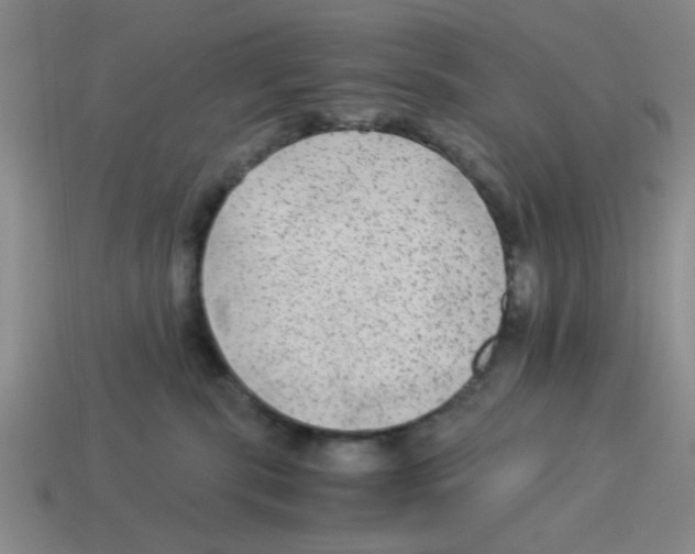 X0000114190283200911061410