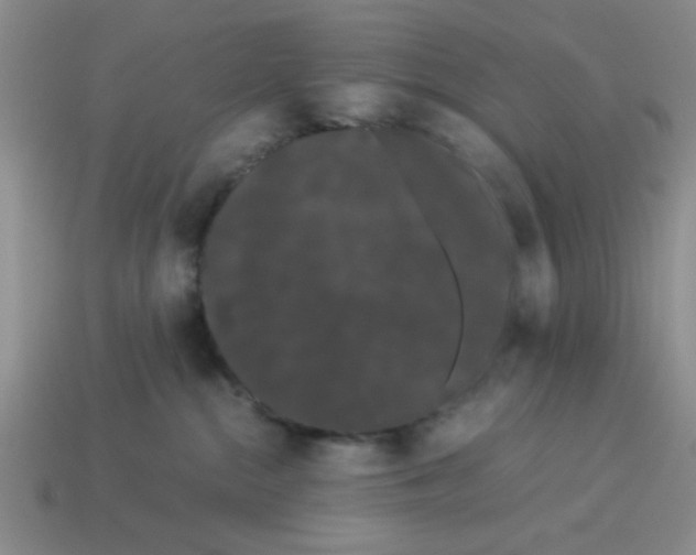 X0000114190284200911061410