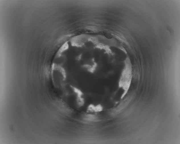 X0000114190285200911061410