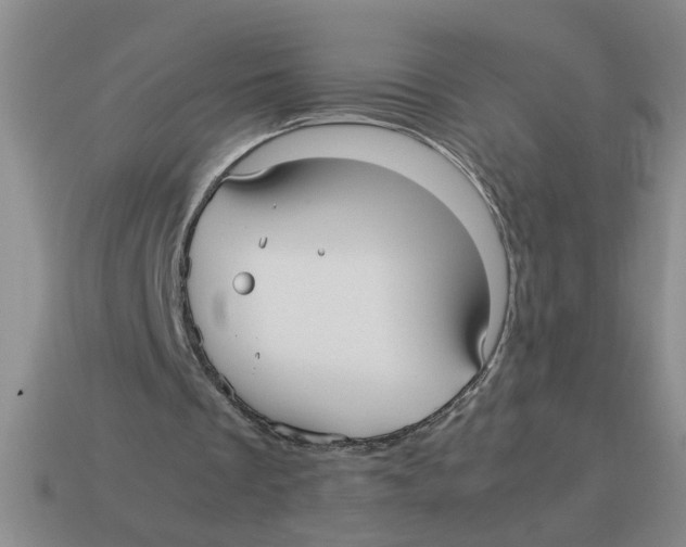 X0000114190289200911061409