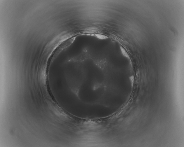 X0000114190290200911061409