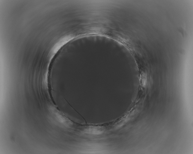 X0000114190292200911061409