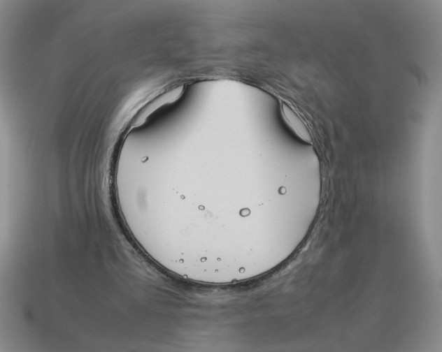 X0000114190293200911061409