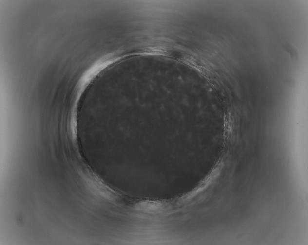 X0000114190294200911061409