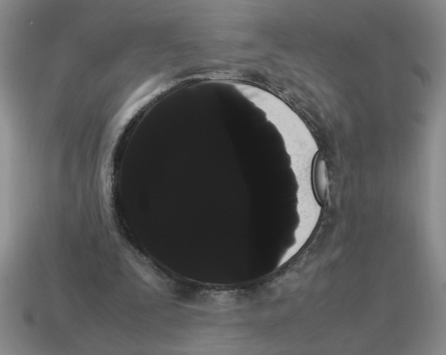 X0000114190295200911061409