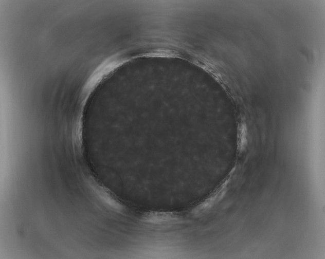 X0000114190296200911061409