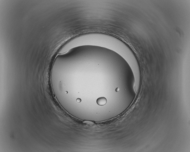 X0000114190297200911061409