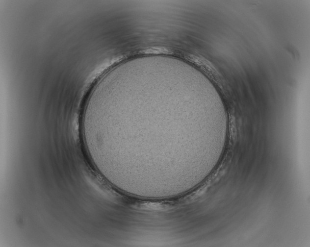 X0000114190298200911061409