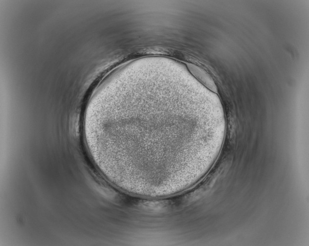 X0000114190299200911061409