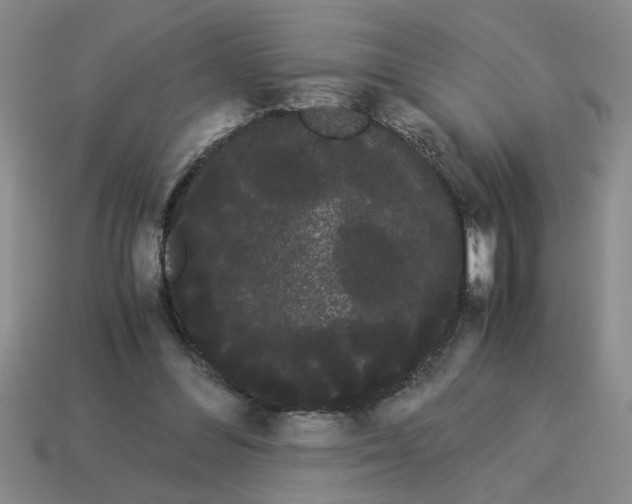 X0000114190300200911061409