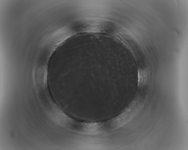 X0000114190301200911061409