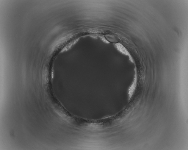 X0000114190303200911061409