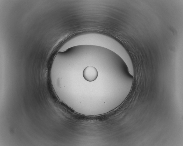 X0000114190304200911061409