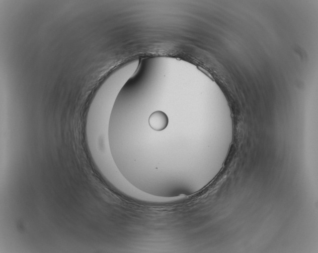 X0000114190305200911061409