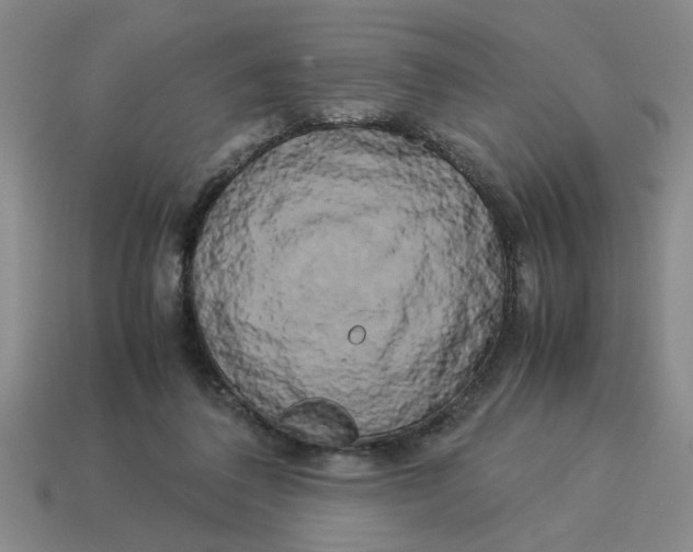 X0000114190308200911061409