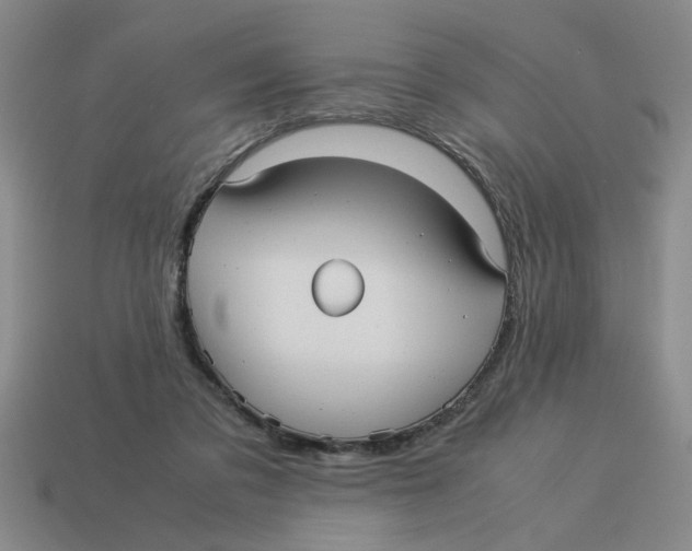 X0000114190309200911061409