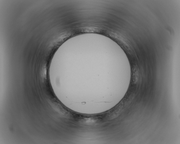 X0000114190310200911061409