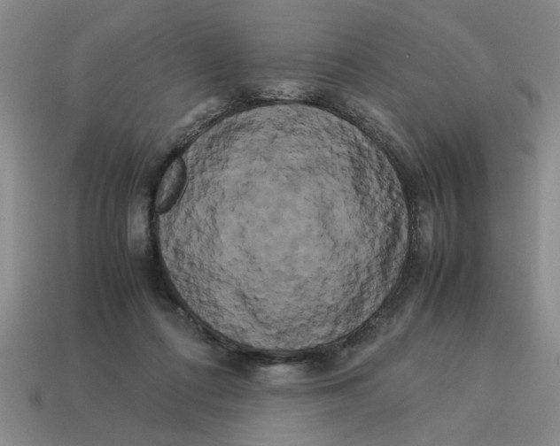 X0000114190312200911061409