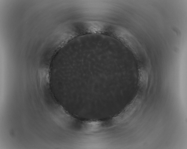 X0000114190313200911061409