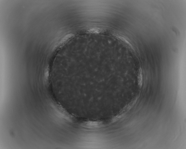 X0000114190314200911061409