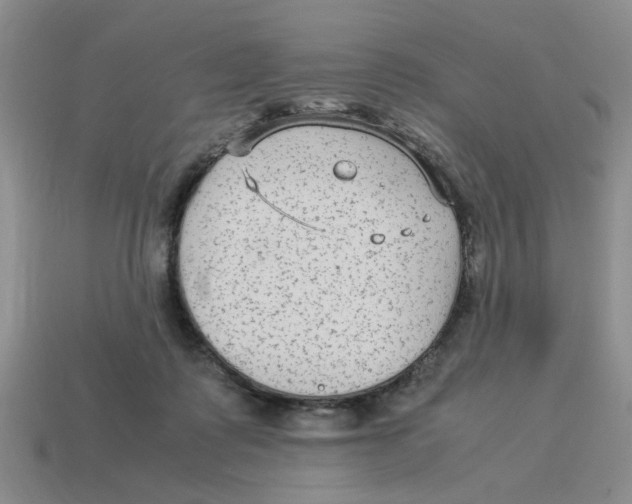 X0000114190315200911061409