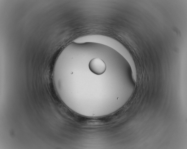 X0000114190316200911061409