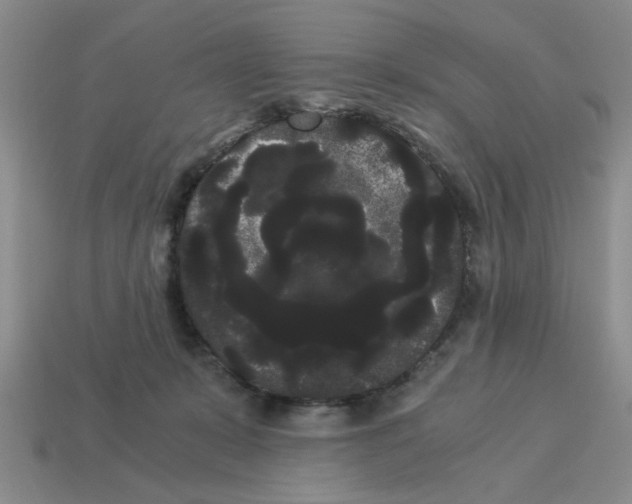 X0000114190319200911061409