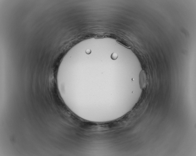 X0000114190320200911061409