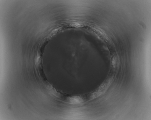 X0000114190322200911061409