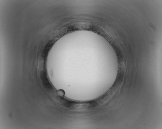 X0000114190323200911061409