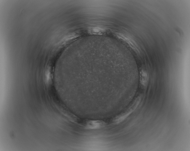 X0000114190324200911061409