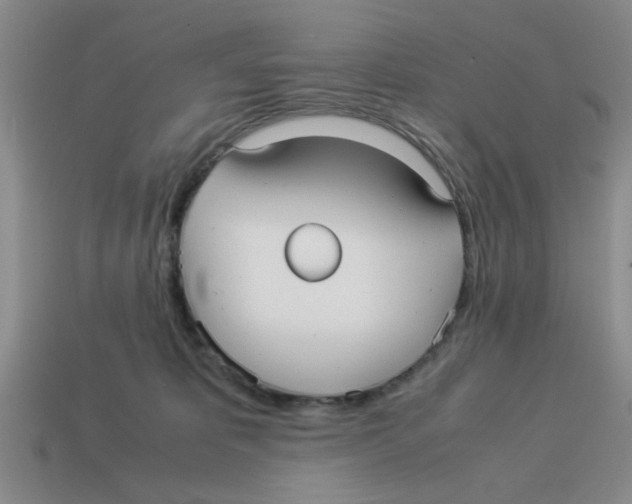 X0000114190325200911061409