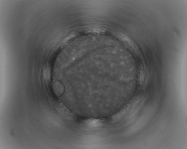 X0000114190326200911061409