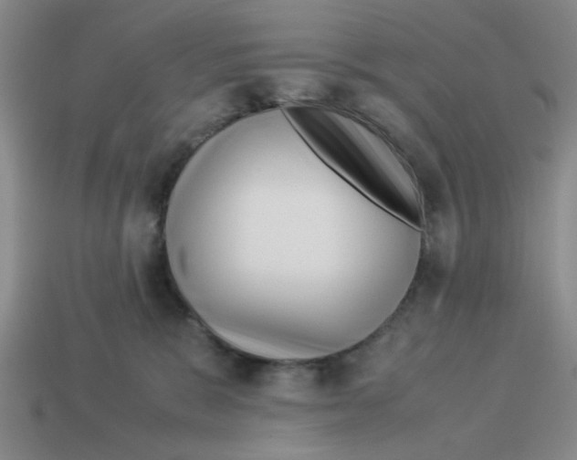 X0000114190327200911061409