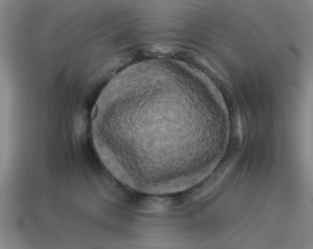 X0000114190328200911061409