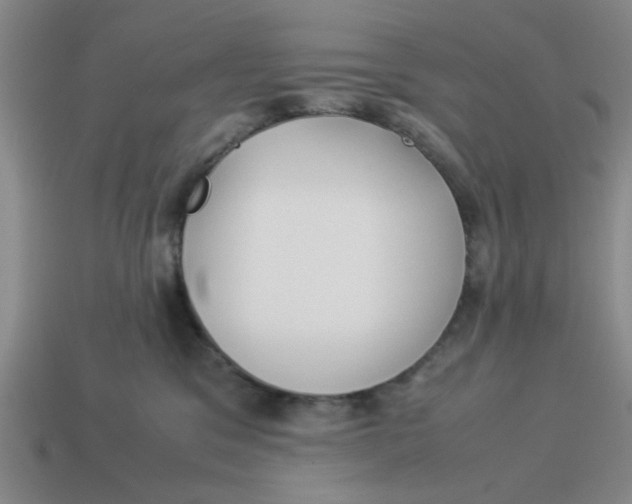 X0000114190329200911061408