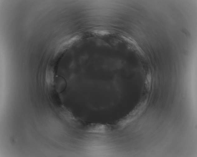 X0000114190330200911061408