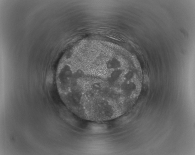 X0000114190331200911061408